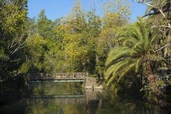 Termas Da Curia Spa Resort المظهر الخارجي الصورة