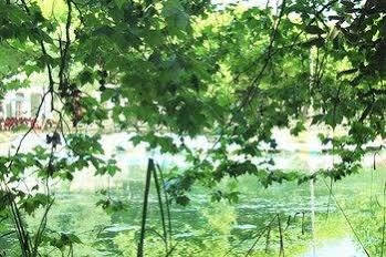 Termas Da Curia Spa Resort المظهر الخارجي الصورة