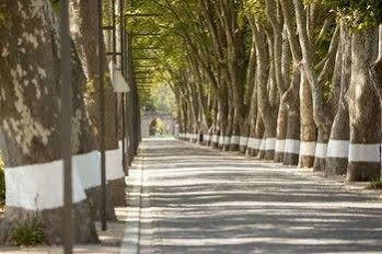 Termas Da Curia Spa Resort المظهر الخارجي الصورة